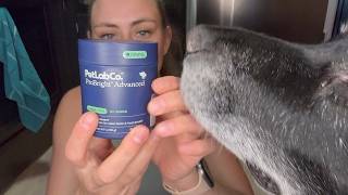 Honest Review of PetLab Co Dental Powder