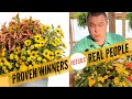 Proven winners photos vs real peoples containers