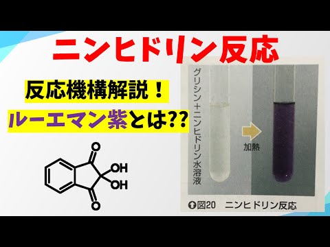 ニンヒドリン反応の反応機構