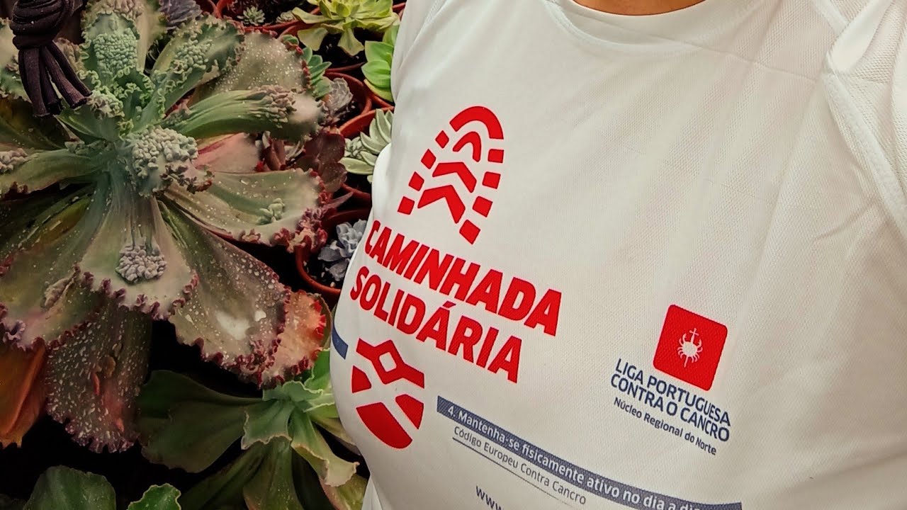 Outubro mês rosa 🩷 vamos ver suculentas cor de rosa 🇵🇹💕