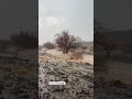 جريان الشعاب مع استمرار هذول الامطار العزيرة على شمال ولاية ابراء الثلاثاء 15 7 2025 اكسبلور جريان الشعاب مع استمرار هذول الامطار العزيرة على شمال ولاية ابراء الثلاثاء 15 7 2025 اكسبلور