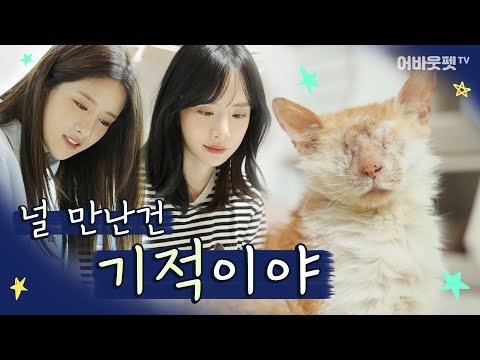 EP.4 개성만점 22똥괭이네를 대통합 시킨 마법의 단어는?