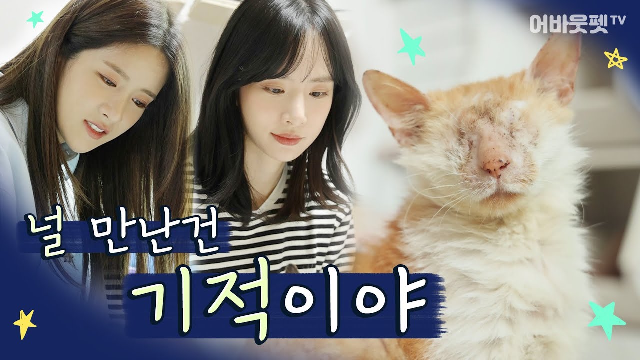 EP.4 개성만점 22똥괭이네를 대통합 시킨 마법의 단어는?ㅣ고행우