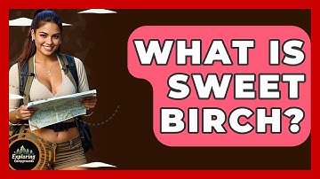 What Is Sweet Birch? - Exploring Campgrounds