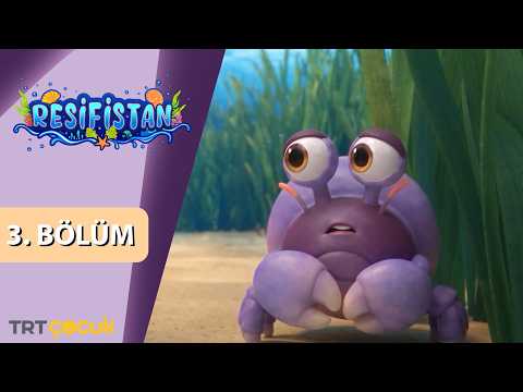 Resifistan | 3.Bölüm