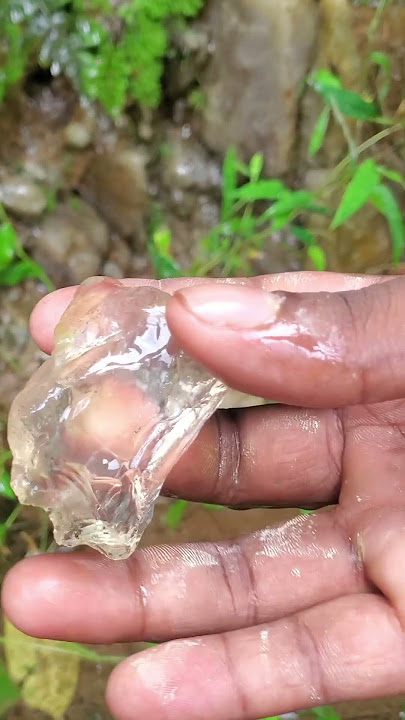 Download lagu $5.2 million White Sapphire taken from a drain #WhiteSapphire #gemstone #ceylongems #naturalgems#gem