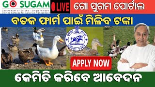 Duck Farming 2023!Duck Farming in Go Sugam Portal Online Apply 2023//Duck Farming BuisnessPlan/Batak