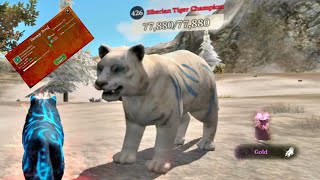 Upgrading Damage Boost | Siberian Tiger Champion 🏆 | Epic Drop - The Wolf