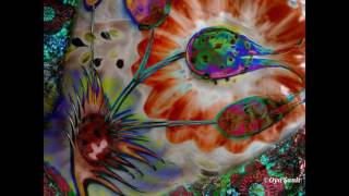 My digital works - December 2016 -1
