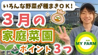 3月家庭菜園】植えられる野菜がぐんと増えます！菜園シーズン楽しもう