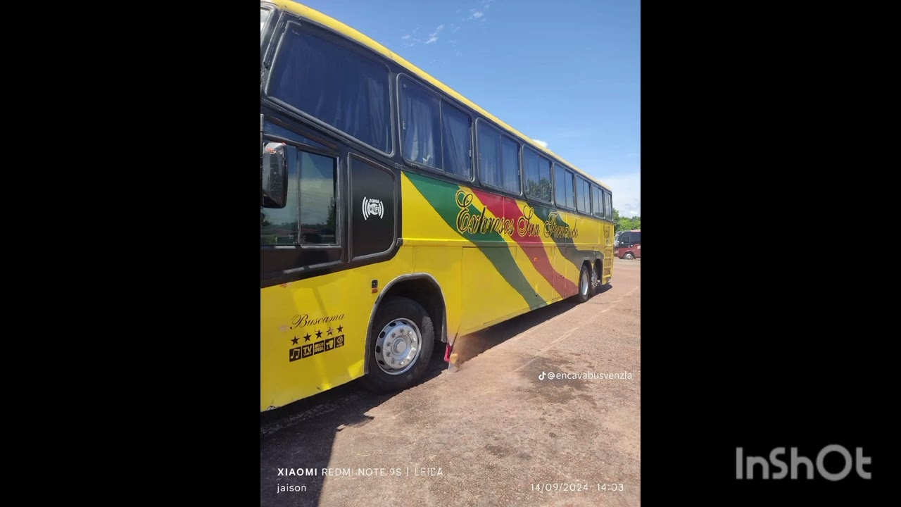 Busologos Venezolanos 🇻🇪🔥