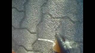 Amber Vintage Florsheim Loafers Stomp Frozen Coke