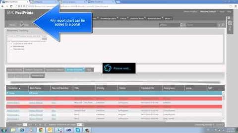 FootPrints version 12 - Reporting