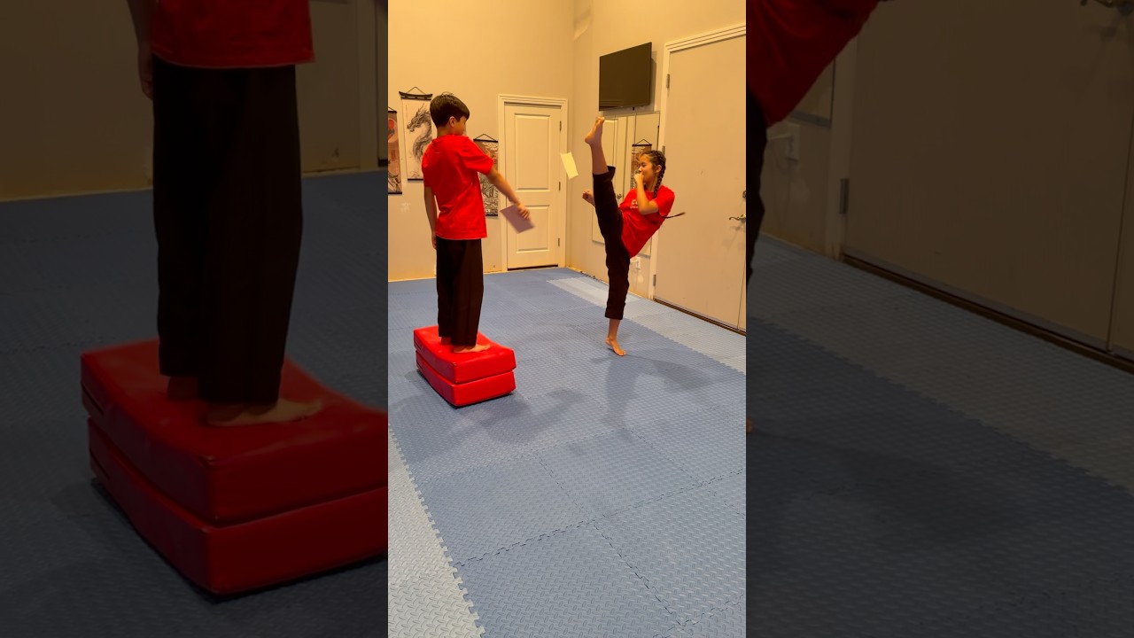 Taekwondo Board Breaking at home #shorts #fyp #martialarts #training