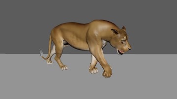 Quadruped Walk Cycle