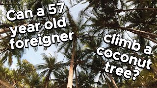 Can a 57 year old foreigner climb a coconut tree?