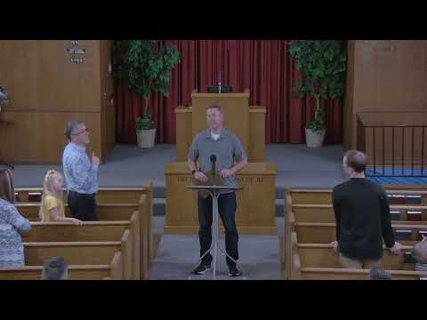 Video preview