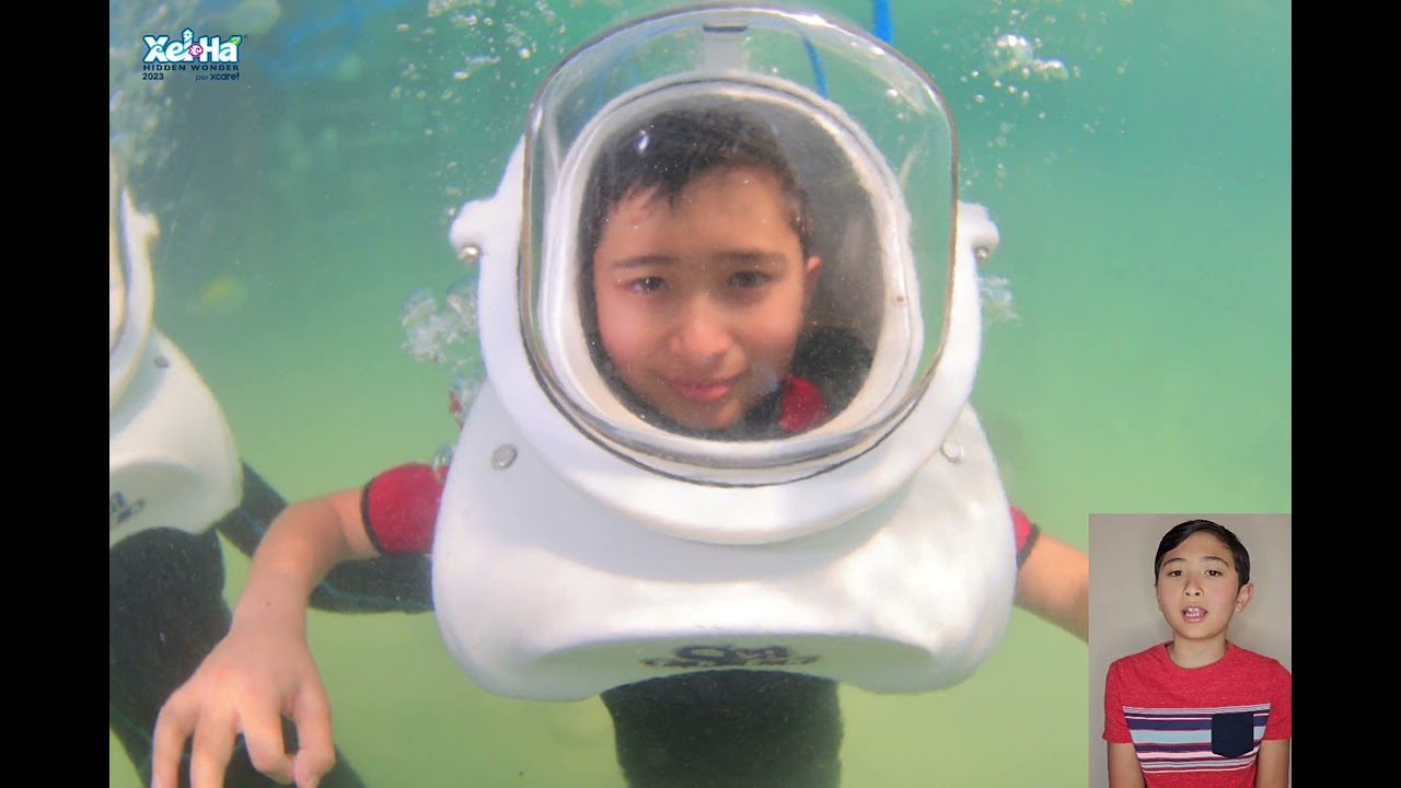 Xel-Ha Park in Mexico Review