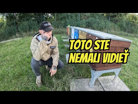 Včelársky silvestrovský špeciál 🥂🍾