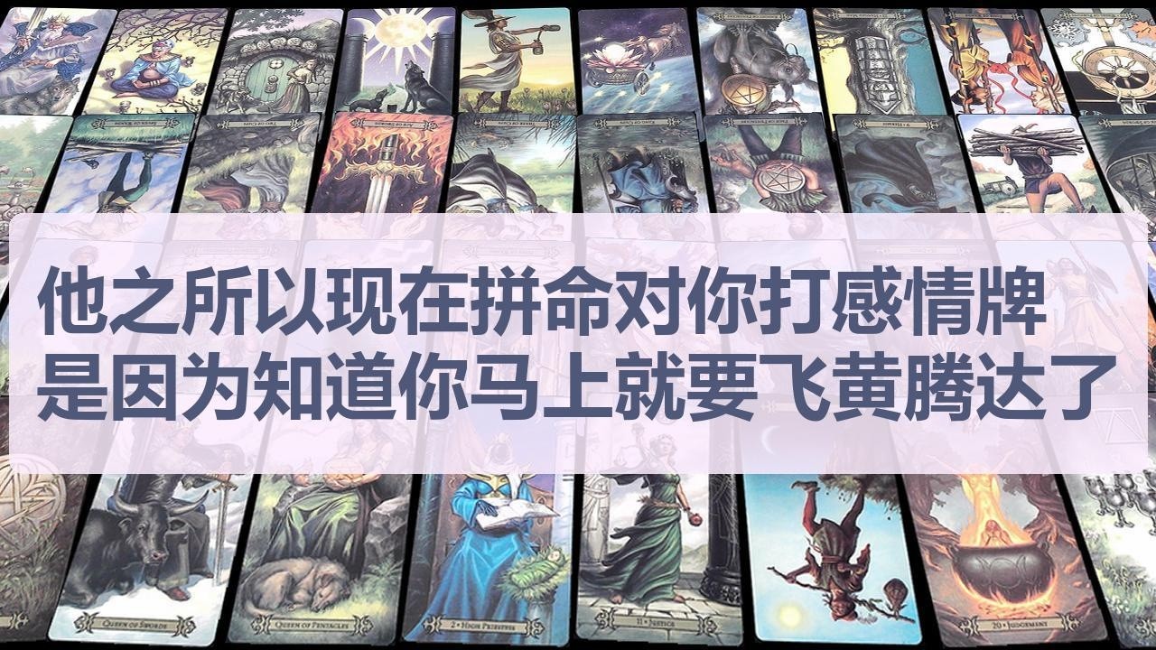 Tarot✨他之所以现在拼命对你打感情牌，是因为知道你马上就要飞黄腾达了