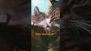 kitty love time!