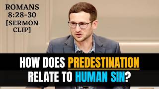How Does Predestination Relate to Human Sin?