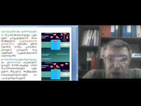 ნერვული ქსოვილის ბიოქიმია 8 2