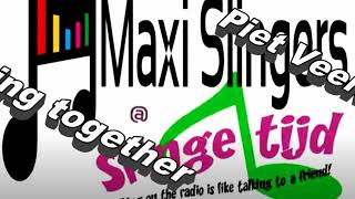 Download Lagu Piet Veerman - Walking together(maxislinger) MP3