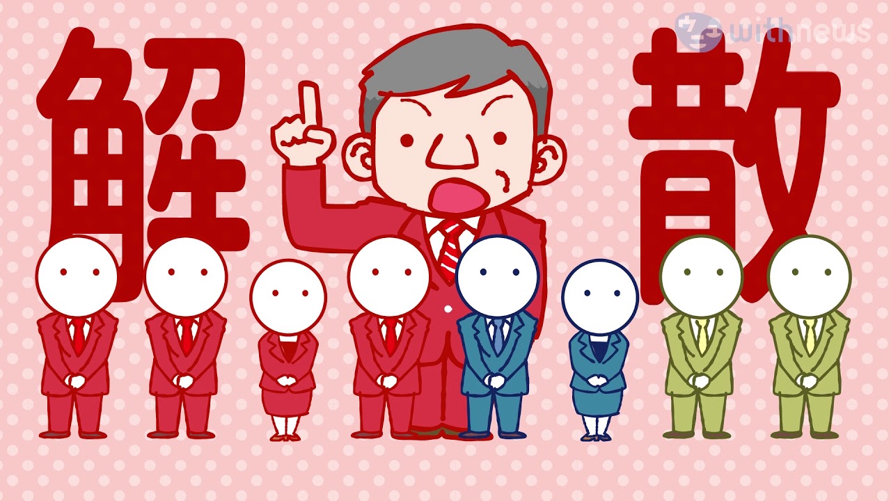 超解説 解散総選挙 衆院だけ にある理由とは Youtube