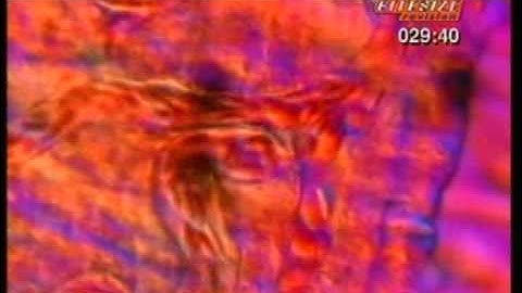 GCSE BBC Science Bitesize - Blood Circulation