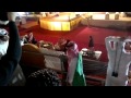 حفلة سعود جاسم عااش السعوودي 4