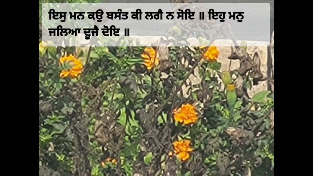 Iss Mann Ko Basant Ki Lagae na Soae