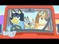 Fun in the Car! | Bluey