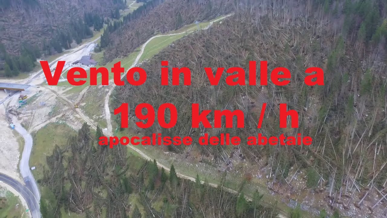 Apocalisse nelle abetaie Melette di Gallio Asiago Maltempo 1080p60HD