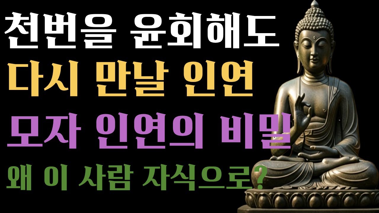 어머니는 왜 나를 낳았을까? 윤회 속에 숨겨진 모자간의 업보, 부처님의 눈물겨운 설법  #부처님말씀 #불교 #윤회 #모자인연 #업보#효도 #전생 #부모은중경 #불교설법 #깨달음