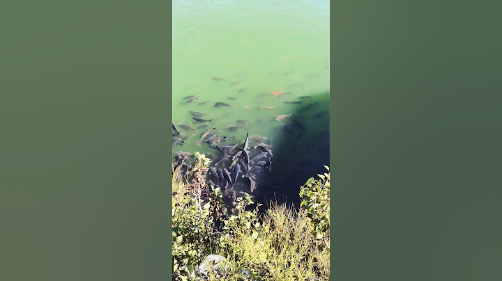 sath rahana koi inse sikhe 🥰🥰🥰🥰