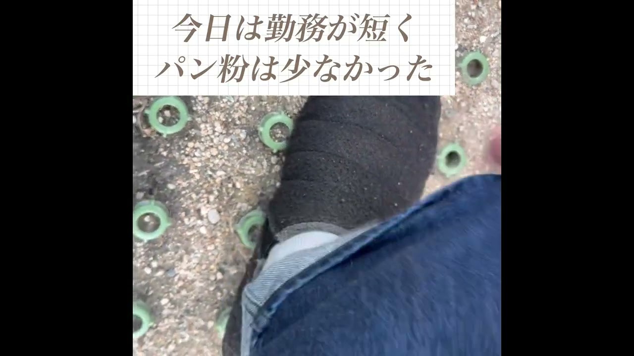 シゴオワあるある