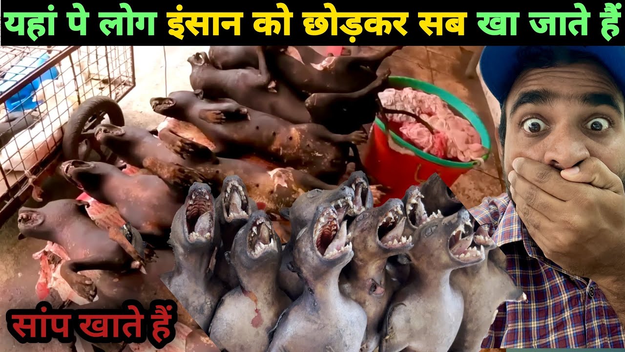 Extreme Market In Tomohon! यहाँ के लोग सब कुछ खा जाते है | Market in North Sulawesi