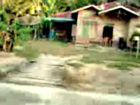 Tanpa judul