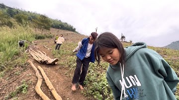 Cuối Tuần Nghỉ Học Chị Em Bớ Hờ Về Cùng Nhau Đi Lấy Củi Chuẩn Bị Vào Nhà Mới| Cói Lalin