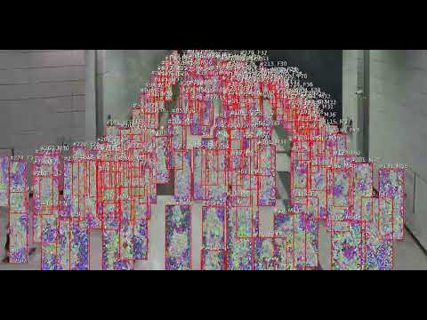 [Deeping Source] Anonymization Demographics_Demo