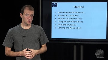 Lecture 2 EEG Basics