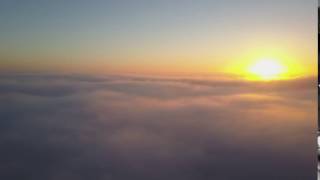 Above the Fog