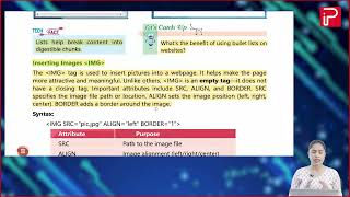 Ch 4 | Pan India | Computer | Book 8 | More About HTML | For children