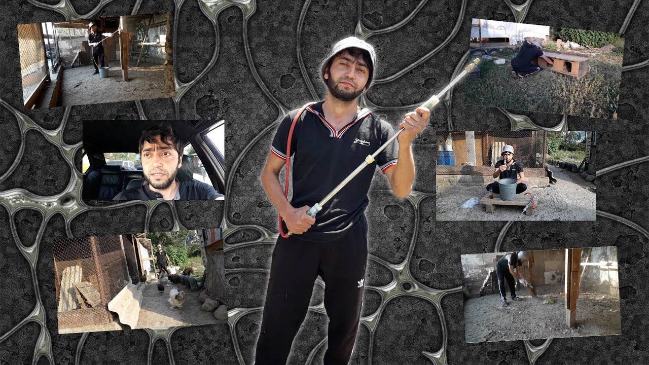 Обработка помещения от блох (полный обзор) - YouTube