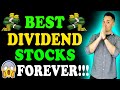 Best Dividend Stocks to Buy and Hold FOREVER!!!