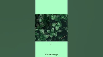 Make Leaves Cutout Effect in Photoshop - Photoshop Tutorial