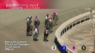Race #1 03/10/25