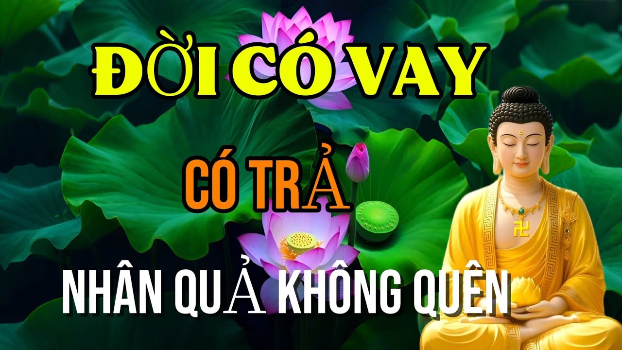 GIỮ TÂM LÀNH GIỮA ĐỜI BẤT CÔNG – NHÂN QUẢ KHÔNG BỎ SÓT AI