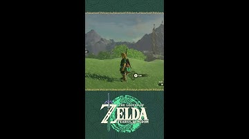 The Legend of Zelda: Tears of the Kingdom – How would you solve it?